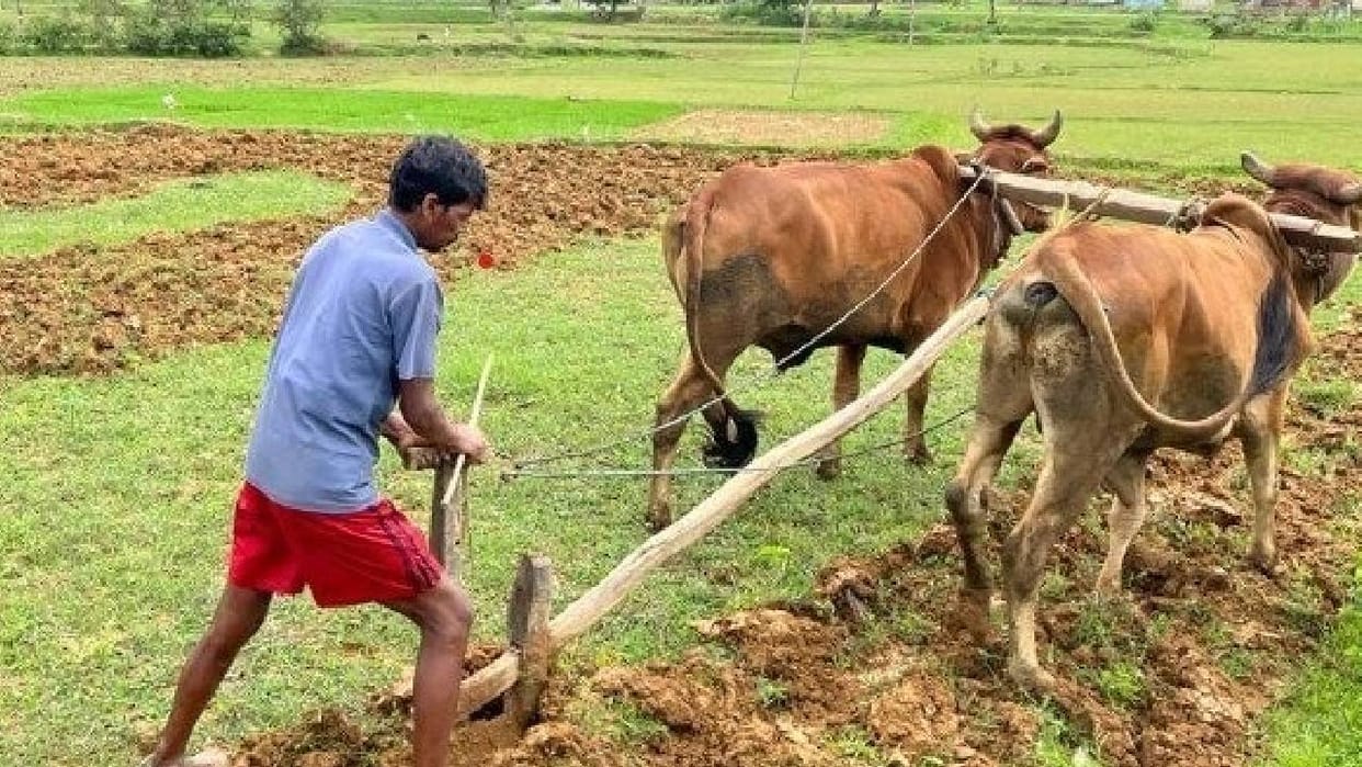 Uttar Pradesh: Farmer training sessions are starting in villages; one workshop will be held in every Gram Panc