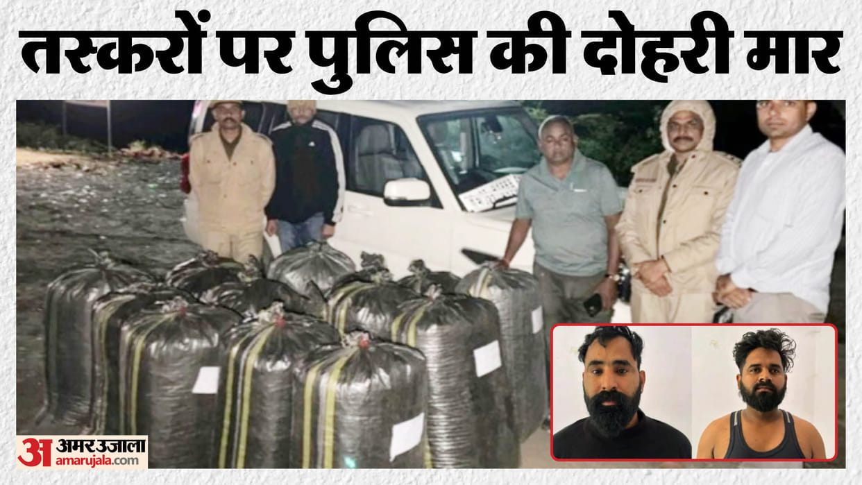 Poppy husk worth Rs 3 crore seized in Sirohi, 10 cartons of Rajasthan-made liquor seized, 2 accused arrested