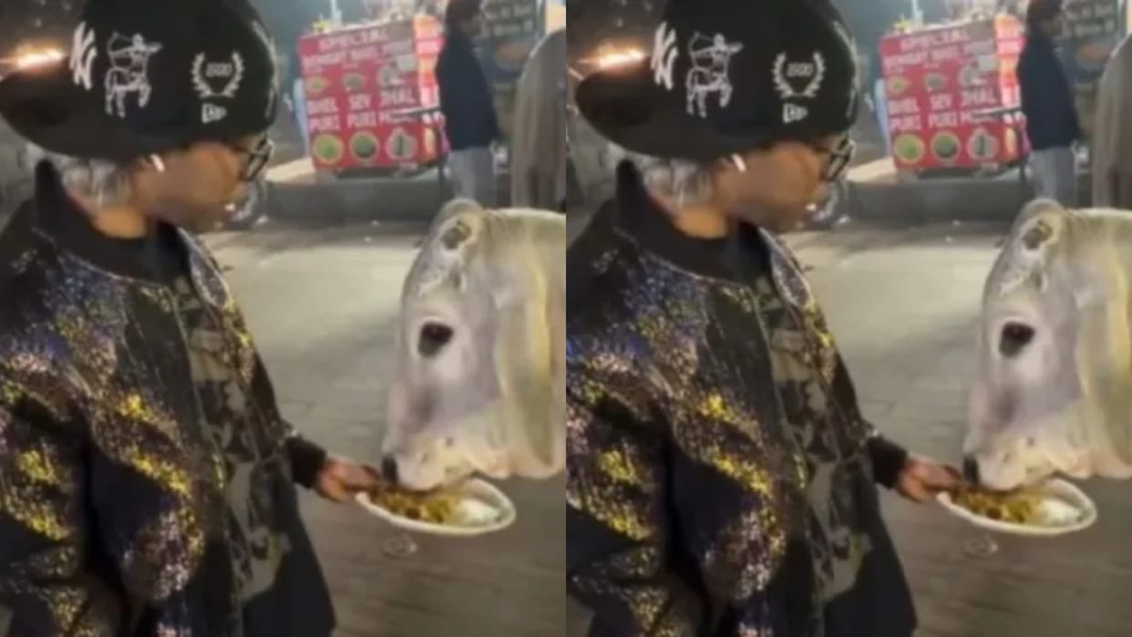 Crowd surrounds YouTuber for feeding chicken momos to cow sparking debate on social media
