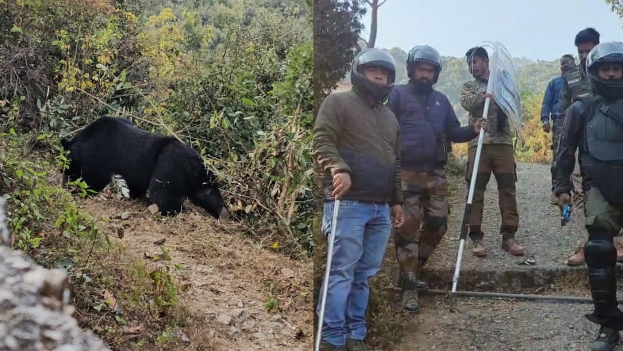 Bear trapped in a wire was rescued after six hours of effort Rudraprayag Uttarakhand News in hindi