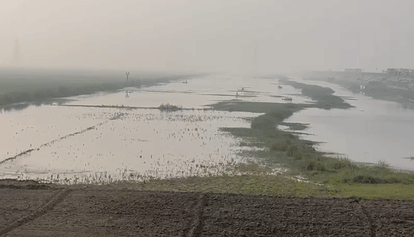 Bihar News: Farmers block traffic on Aunta-Simaria and Rajendra Setu bridges, highway jammed; crops submerged
