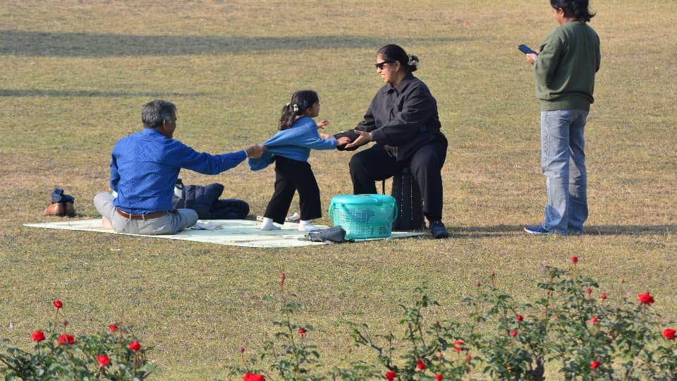 cold will intensify in Chandigarh four-day yellow alert issued