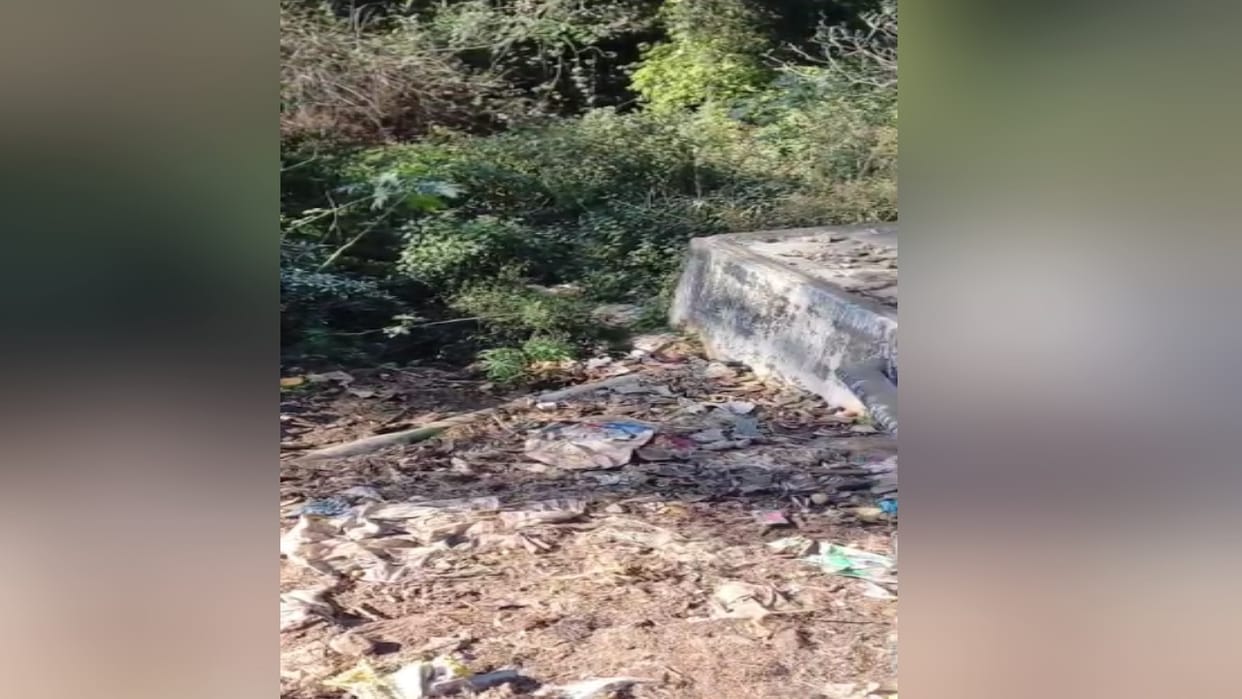 Goat skins thrown in the open at the slaughterhouse, dogs scratching them, risk of disease