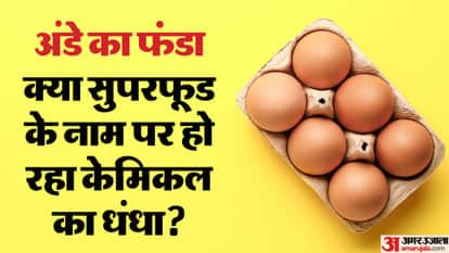 Egoz Row Banned Medicines in EGG What is the Claim Know full Story of egoz row