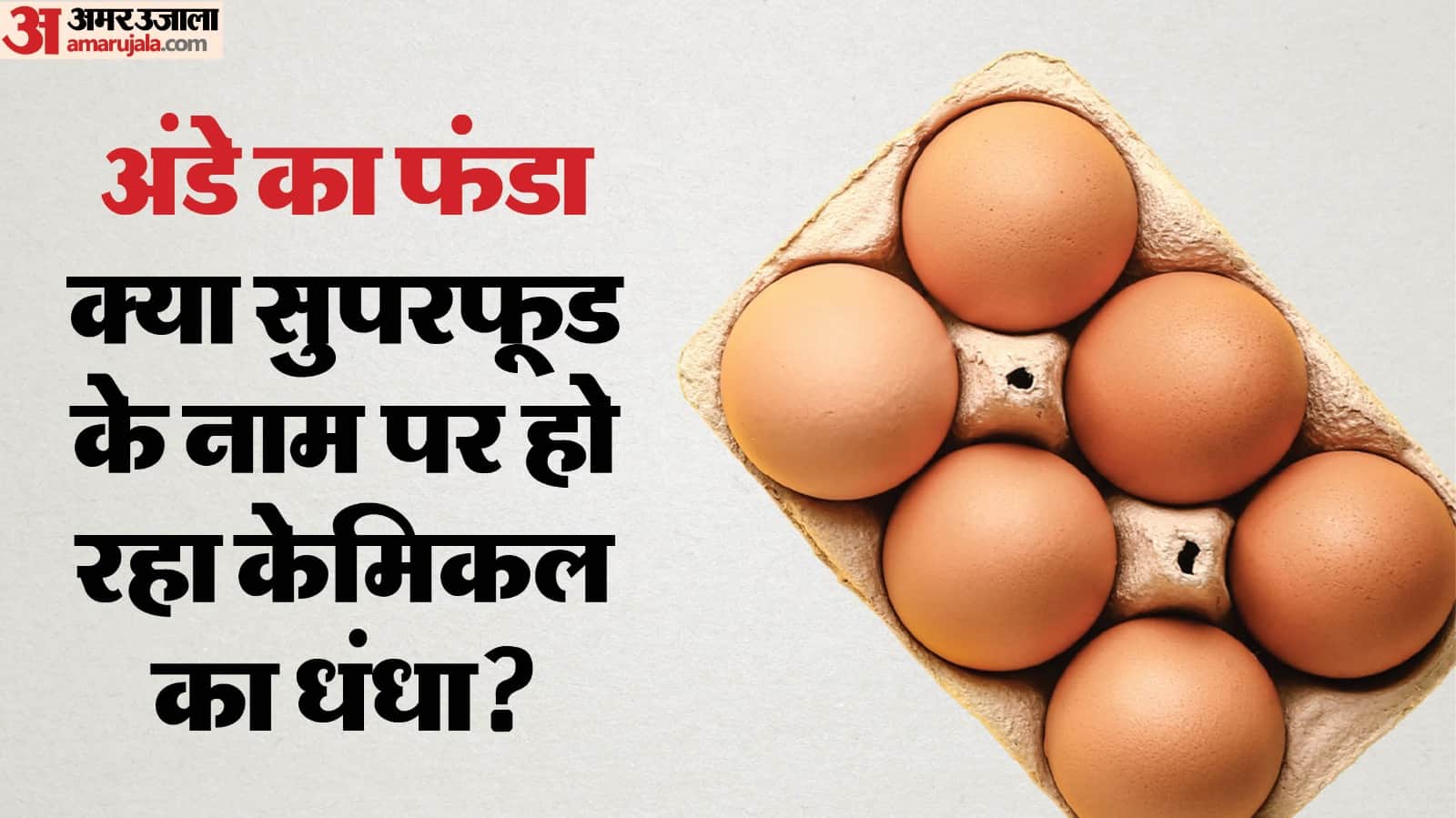 Nitrofurans In Eggs Health Risk Poultry Antibiotics Egg Khane ke nuksan