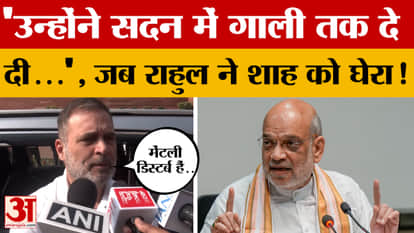 "He even hurled abuses at Amit Shah in the House..." Rahul Gandhi made a significant remark.