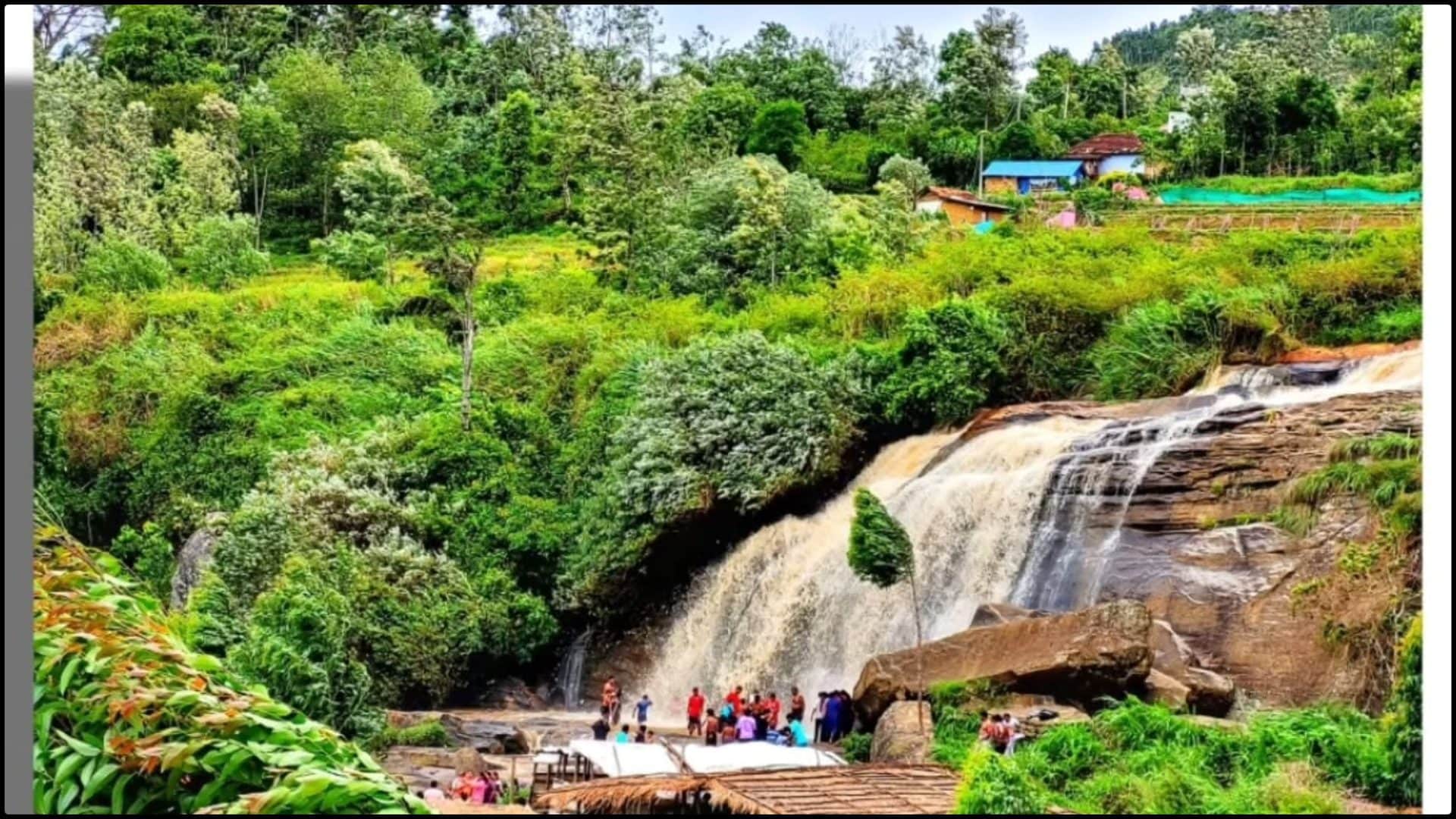 Kerala Kashmir kanthalloor Neelakurinji Flower Travel Guide
