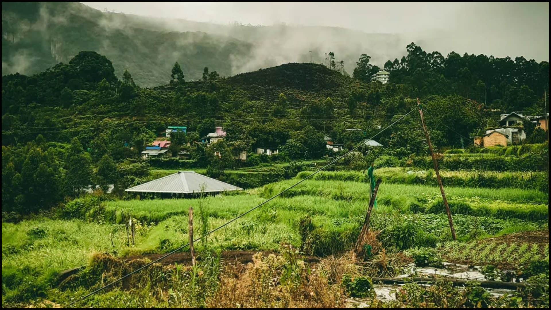 Kerala Kashmir kanthalloor Neelakurinji Flower Travel Guide