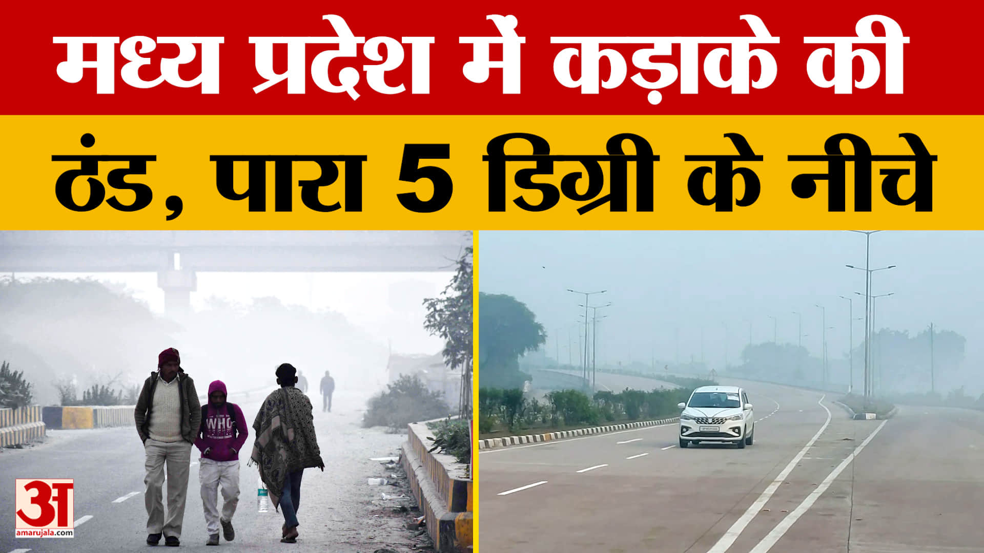 MP Weather Update: मध्य प्रदेश में कड़ाके की ठंड, प्रदेश के 5 जिलों में आज शीतलहर का अलर्ट