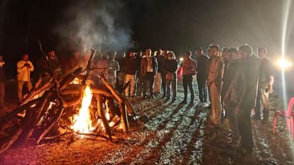 Sidhi News: Two cubs of tigress T-60 die in Sanjay Tiger Reserve