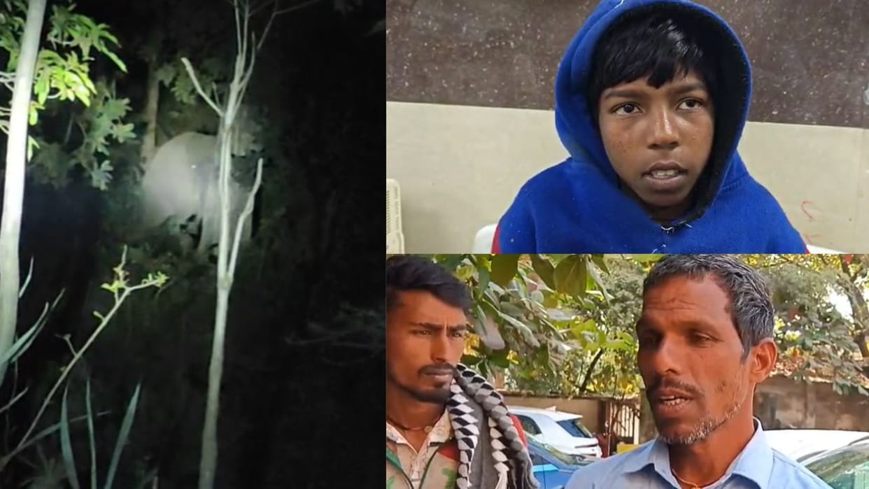 woman died and two people injured after being crushed by elephant in Bilaspur
