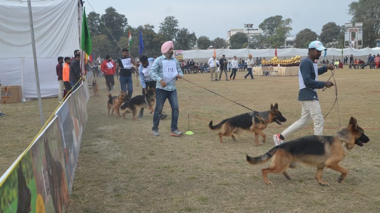 Dehradun: डॉग शो...जर्मन शेफर्ड ने बिखेरा जलवा, पर कुत्तों को रास नहीं आई दून की ठंड, एसी-पंखे में गुजरा दिन