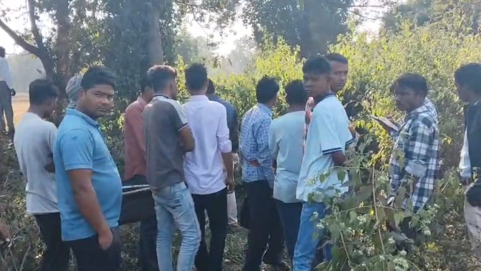 Two people died after coming into contact with an electric wire the wire had been laid to trap wild boars in R