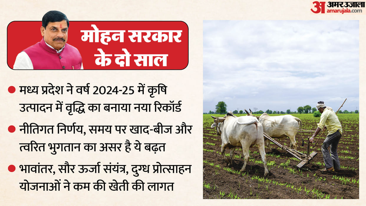 Bhopal News: Food grain production increased by 79 lakh tonnes in two years of Mohan government