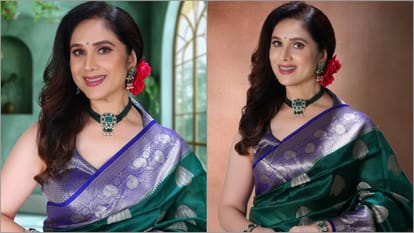 Learn About Meenakshi Seshadris Illustrious Film Career Who Is Now Begging For Work