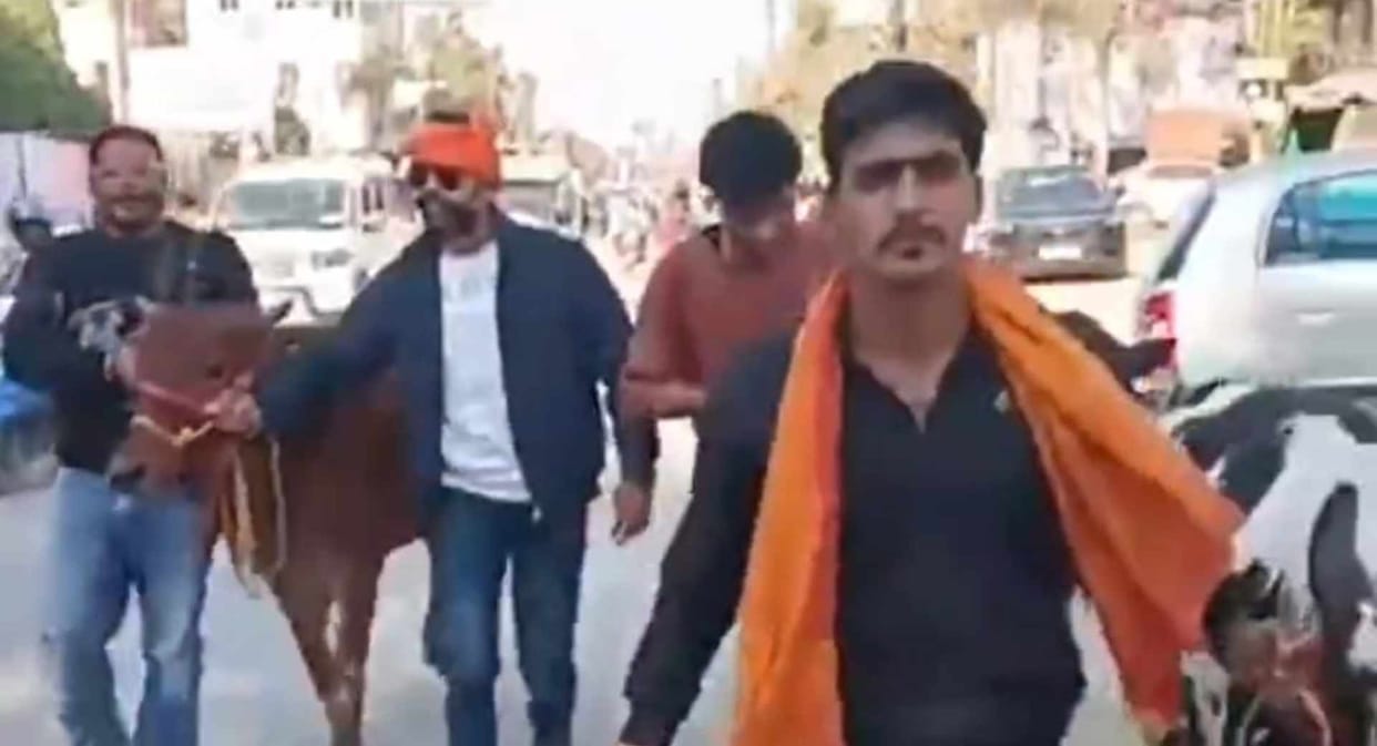 darbhanga donar chowk cow smuggling nine cows rescued mohammad rauf vhp bajrang dal gau raksha dal illegal cow