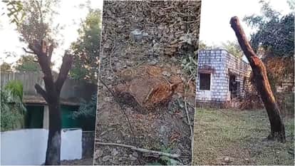 Jhalawar News: Administration Acts on Illegal Cutting of Green Trees,Preparations Underway to Punish Offenders