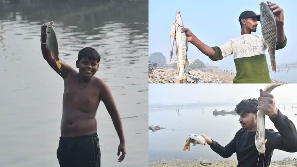 रामगंगा में मृत मिली मछलियां