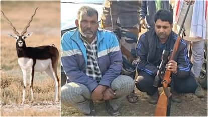 Sagar News: New twist in blackbuck poaching case, search for mastermind intensified