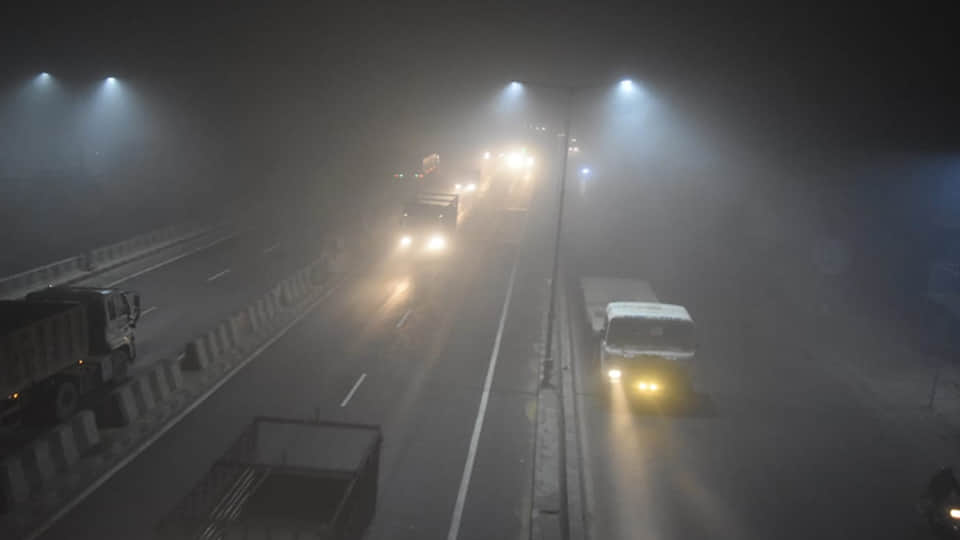 छाया कोहरा