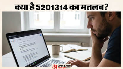 5201314 meaning google year in search india