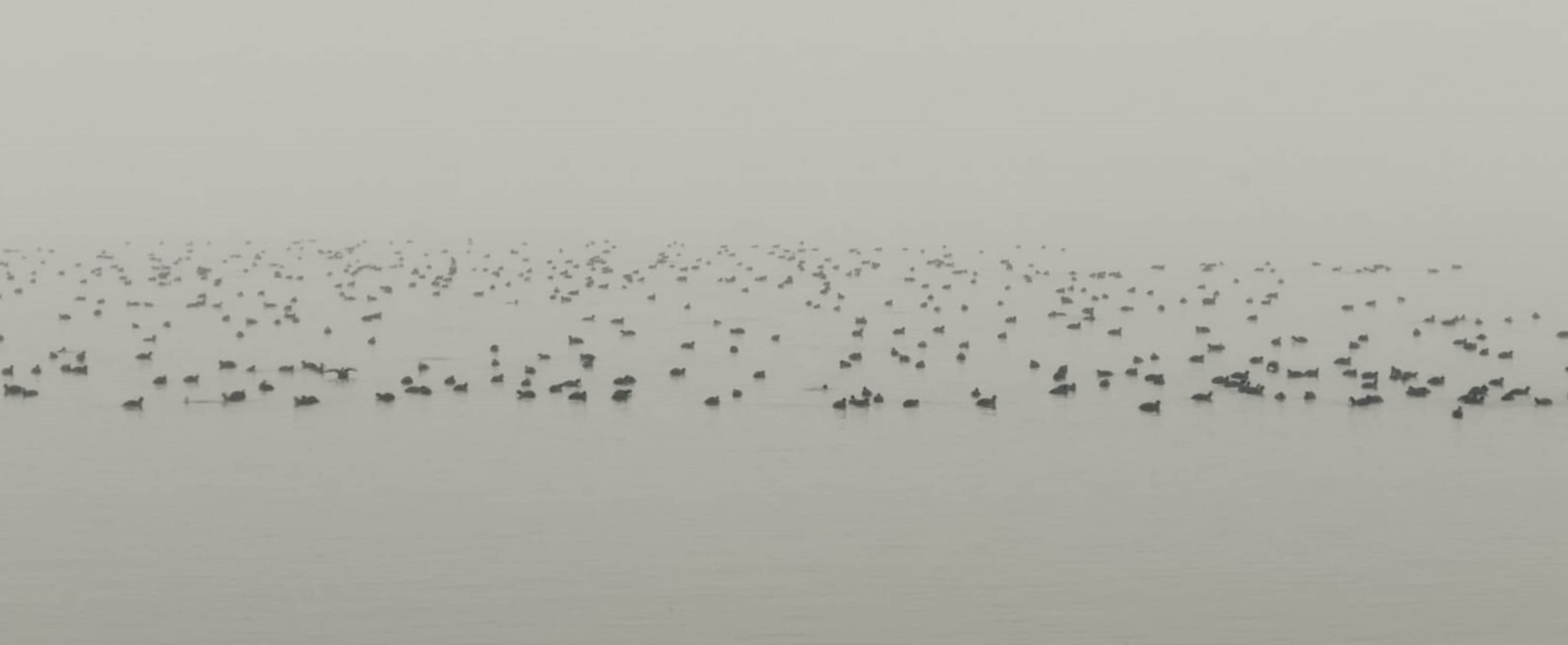 श्रीनगर में पड़ी धुंध।