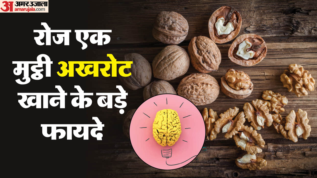 Dry Fruit For Brain Health Walnut Benefits Akhrot Khane Ke Fayde Dimag Ke Liye