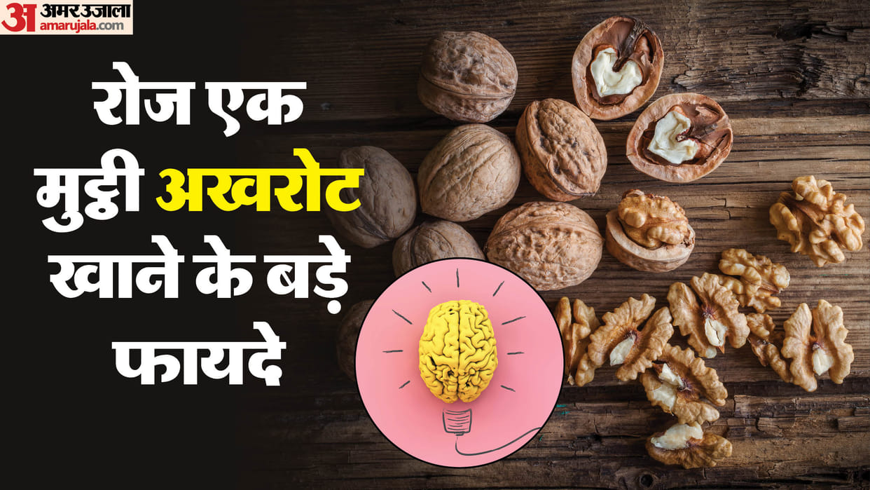 Dry Fruit For Brain Health Walnut Benefits Akhrot Khane Ke Fayde Dimag Ke Liye