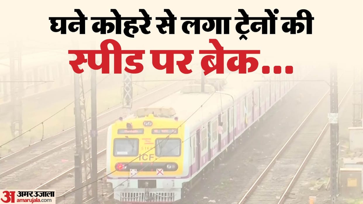 Indian Railway Train Cancelled List: 20 Trains Will Remain Cancel Till 28 February Check Affected Routes
