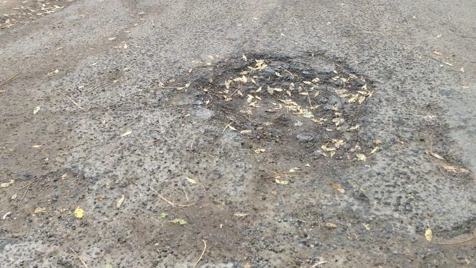 December 15th has passed, but the roads have not been built even after tendering.