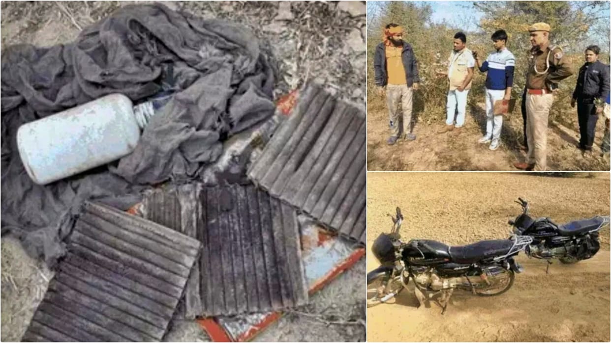 Dausa News: Nilgai brutally killed in Lawan forest, accused absconding; suspicious items recovered from spot