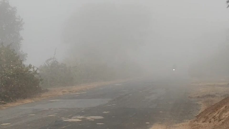 गौरेला-पेंड्रा-मरवाही में सीजन की पहली धुंध