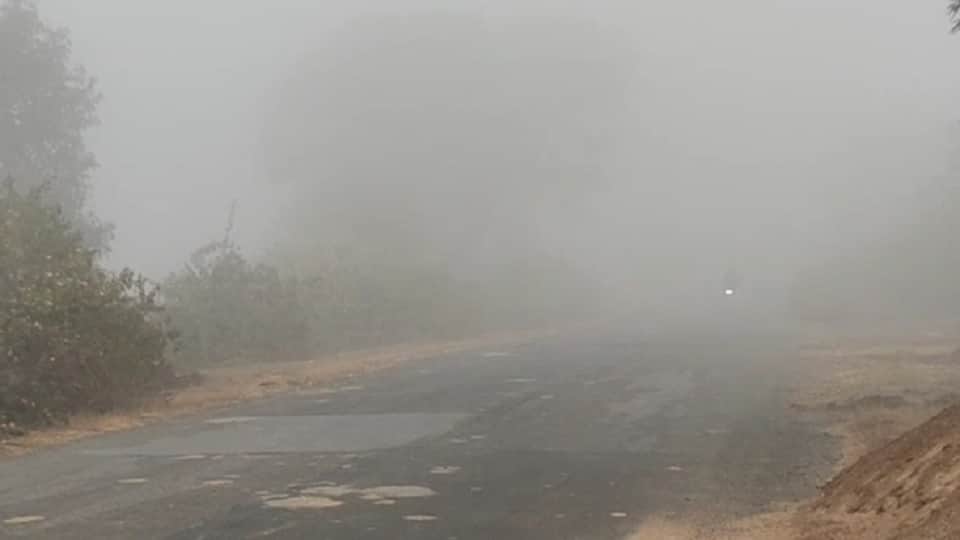 गौरेला-पेंड्रा-मरवाही में सीजन की पहली धुंध