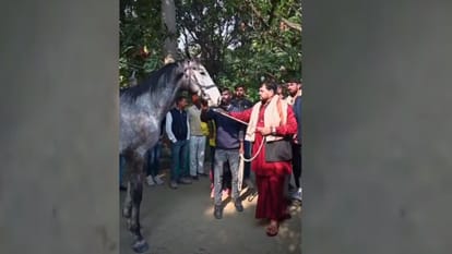 UP: Former BJP MP Brijbhushan receives a horse worth 1.5 crore rupees as a gift, even he was surprised to hear