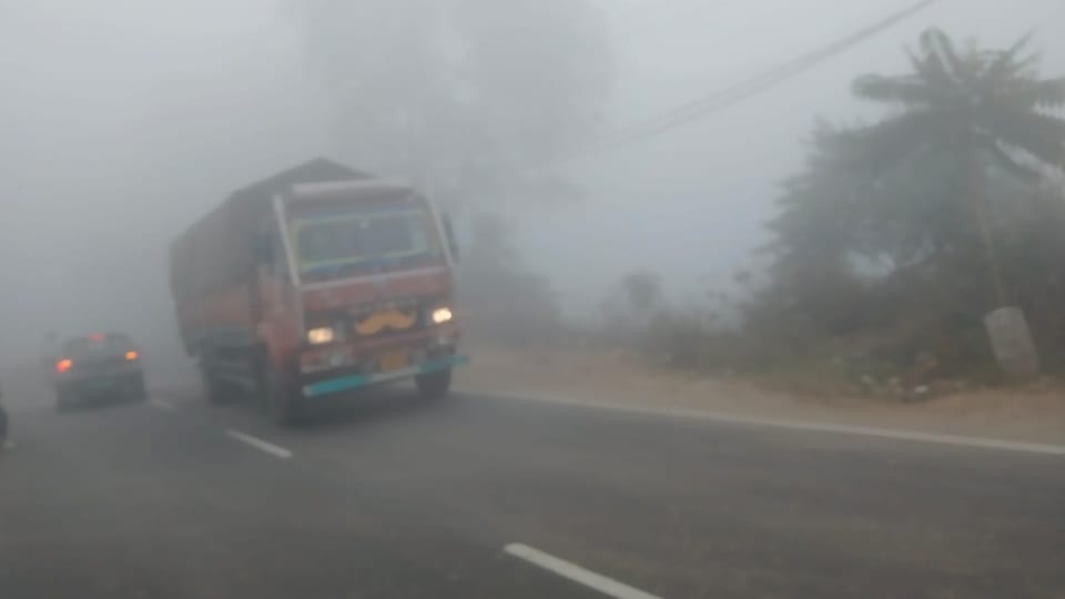Dense fog in Haryana Visibility reduced to 10 meters