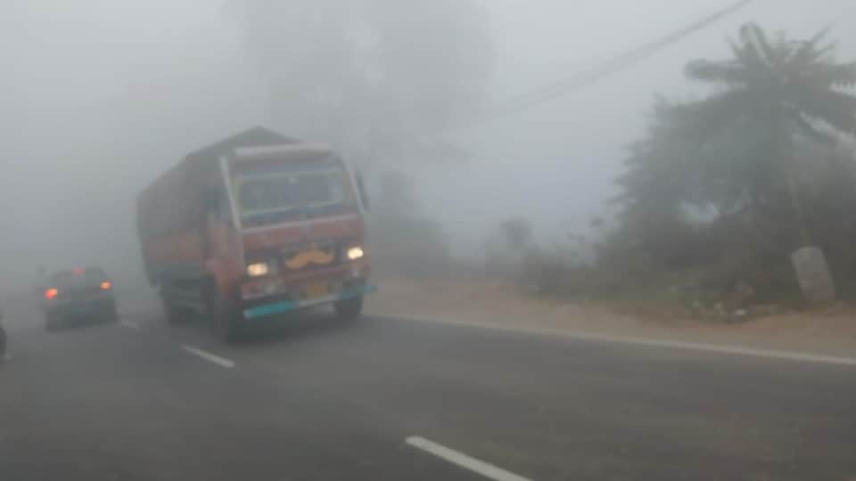 फतेहाबाद में छाया घना कोहरा