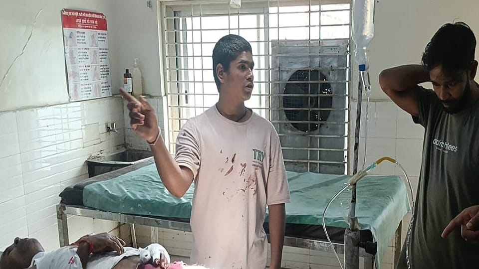 A wild boar that entered a herd of goats attacked a man