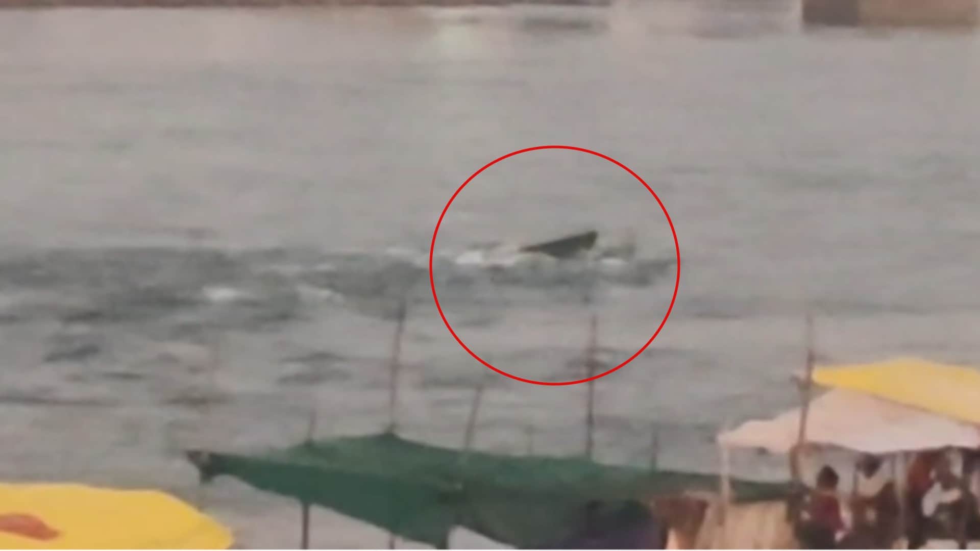 ओंकारेश्वर के ब्रह्मपुरी घाट पर नर्मदा नदी में एक नाव असंतुलित होकर डूब गई।