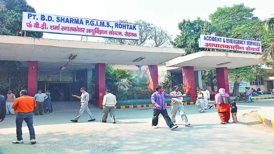 पीजीआई रोहतक