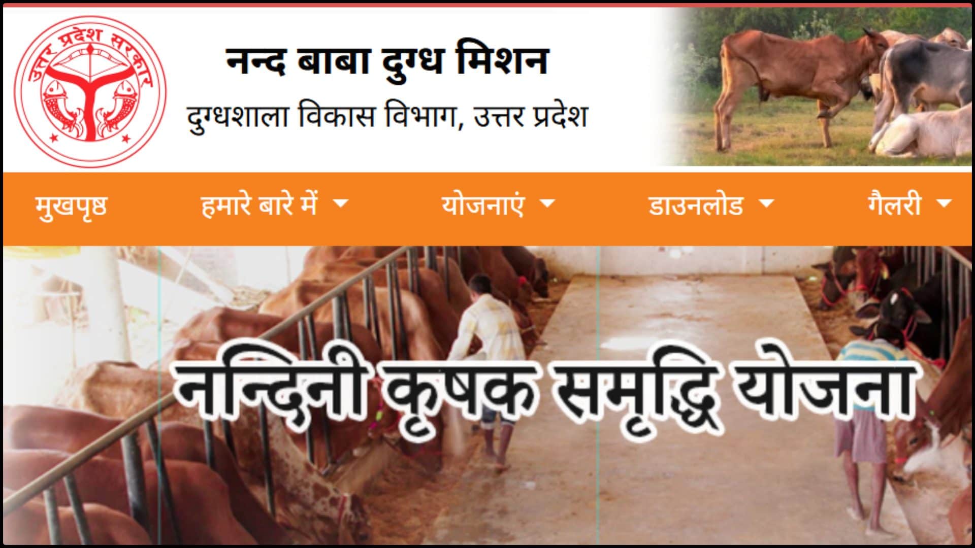 नंदिनी कृषक समृद्धि योजना