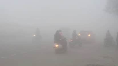 पंजाब में घना कोहरा