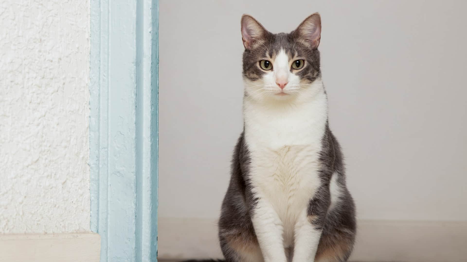 सांकेतिक तस्वीर