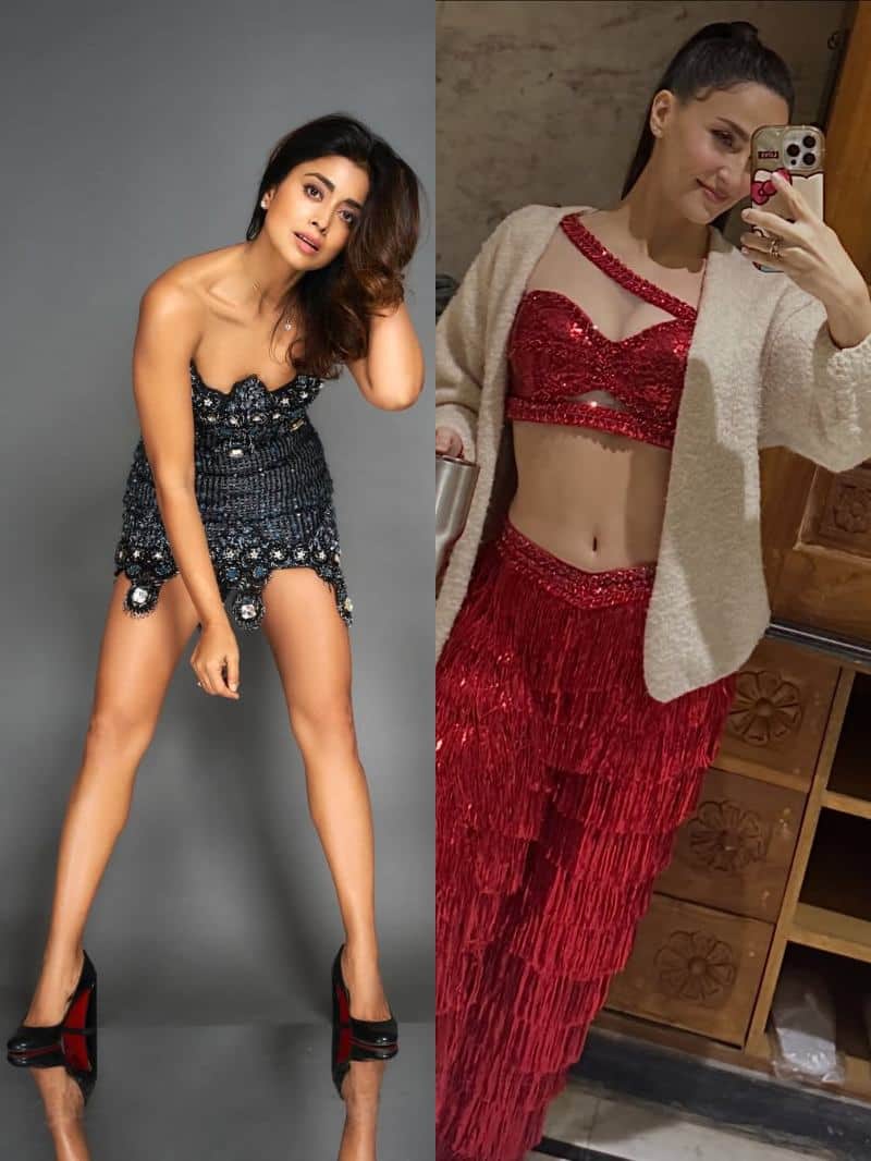 श्रेया सरन, एली अवराम