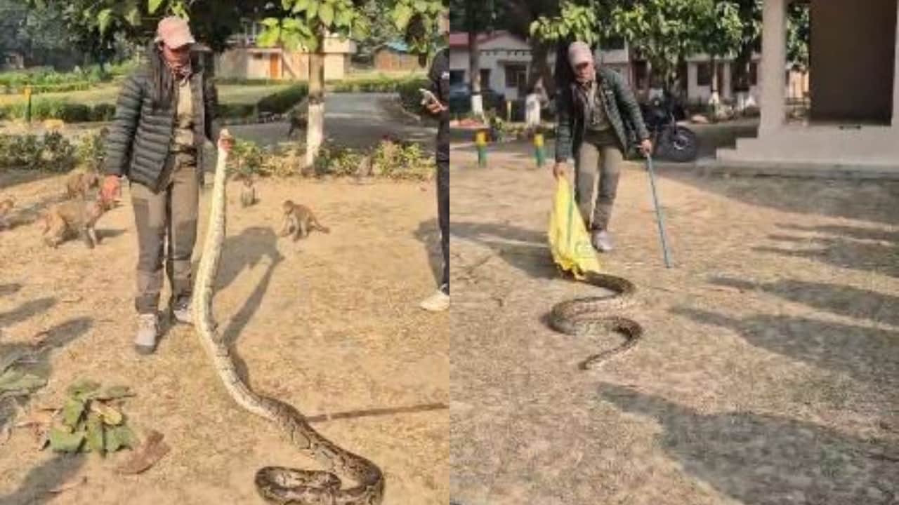 Jungle Queen Nazrun Nisha story who has so far rescued snakes and crocodiles in lakhimpur kheri