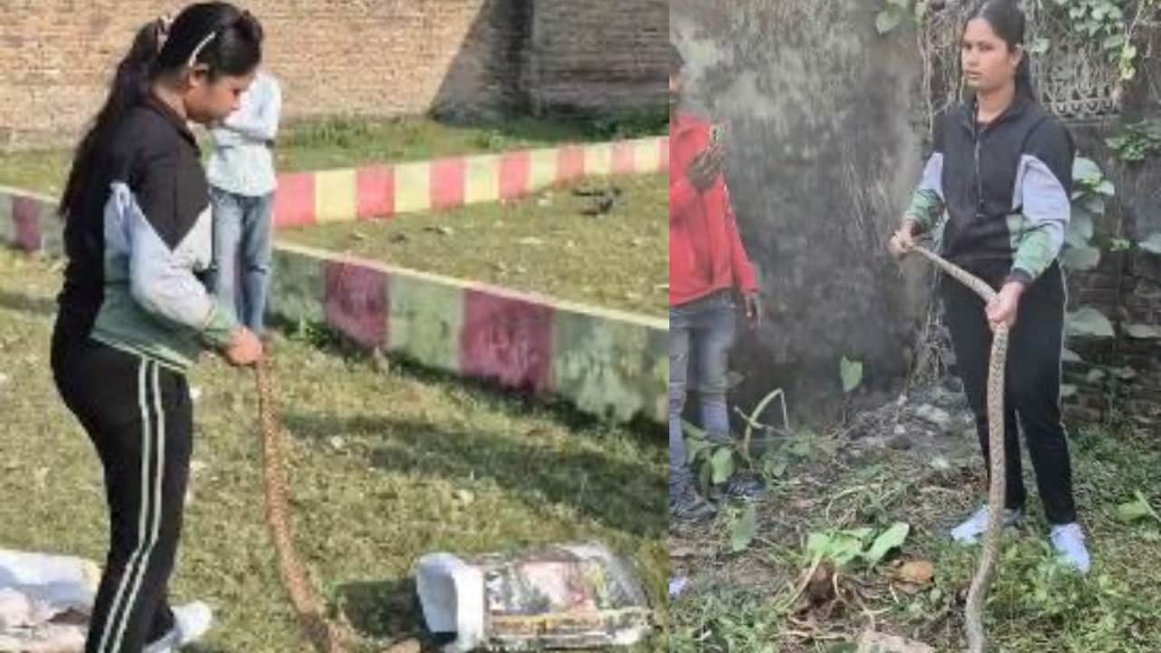 Jungle Queen Nazrun Nisha story who has so far rescued snakes and crocodiles in lakhimpur kheri