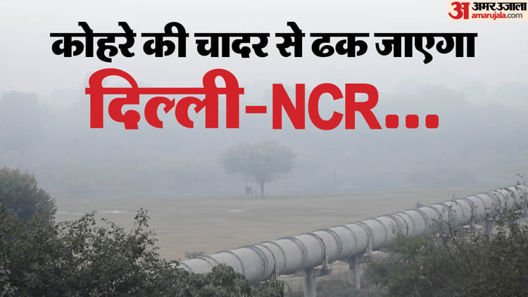 चरम पर प्रदूषण: दिल्ली-NCR में आज सुबह घने कोहरे का यलो अलर्ट, नौ से 11 डिग्री के बीच न्यूनतम तापमान का अनुमान