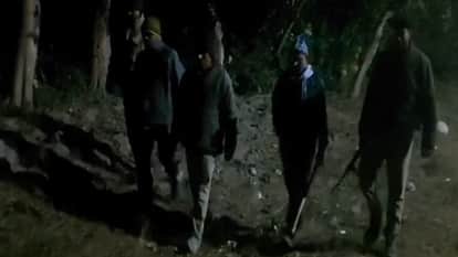 Tiger, Elephant and Leopard Movement Near Corbett Creates Panic, Forest Department on High Alert