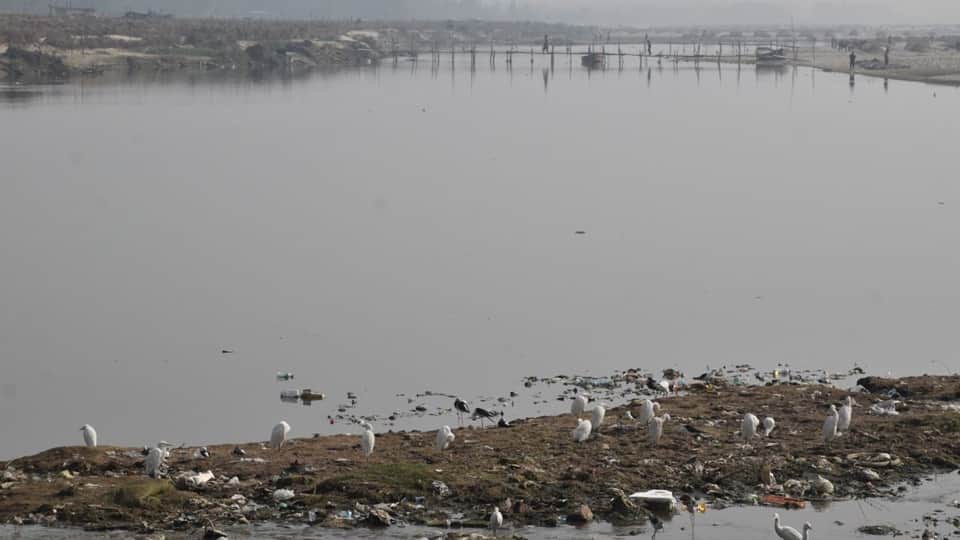 UP: Fog descends on Moradabad division, life comes to a standstill, and vehicle speeds slow down