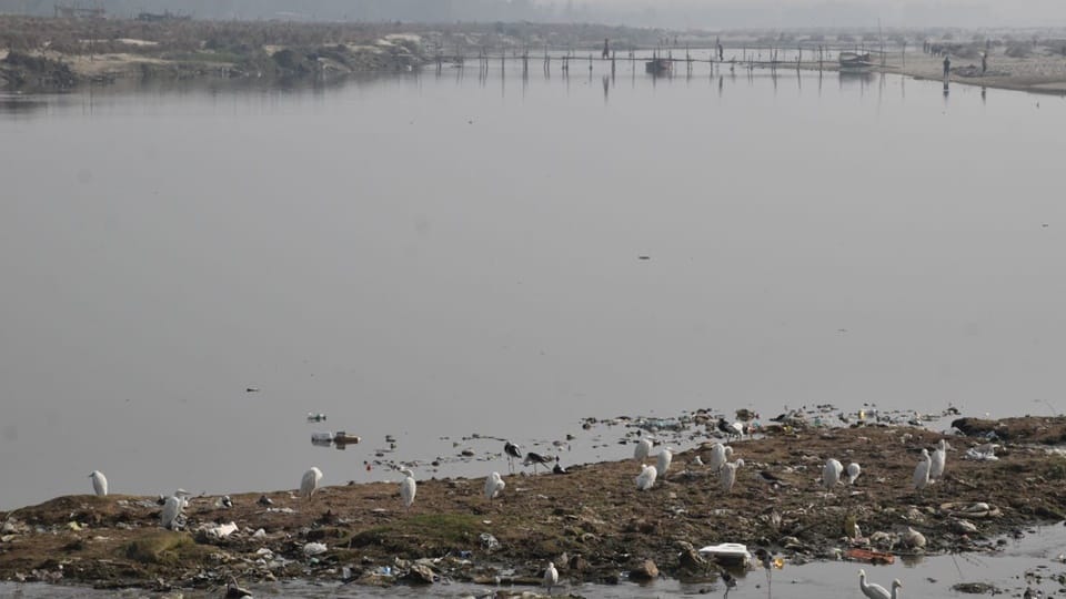 UP: Fog descends on Moradabad division, life comes to a standstill, and vehicle speeds slow down