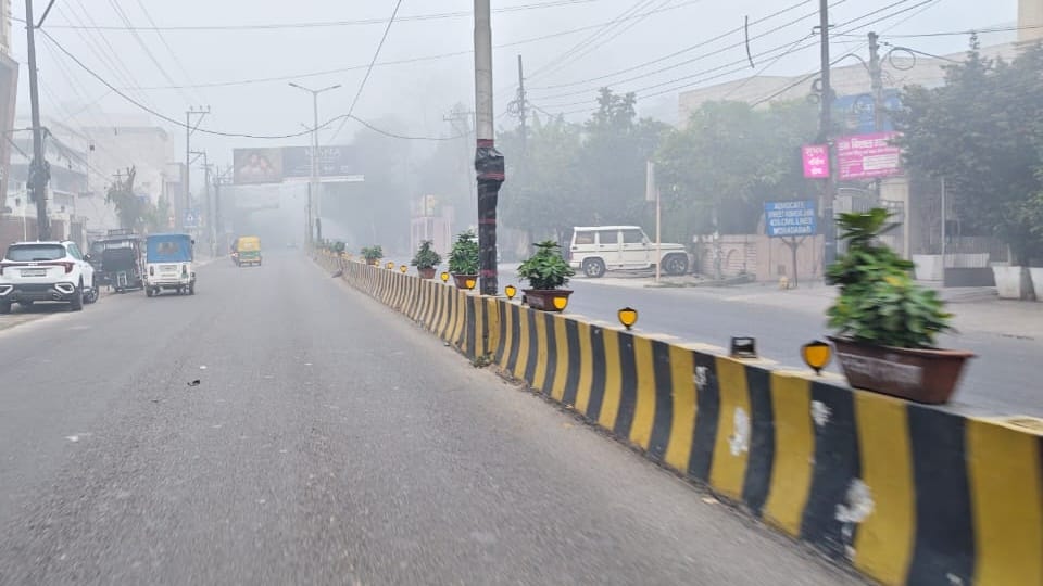 UP: Fog descends on Moradabad division, life comes to a standstill, and vehicle speeds slow down